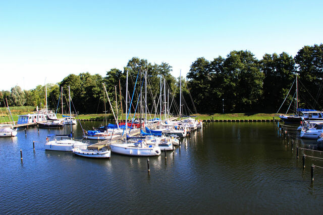 Ferienwohnung in Ueckermünde - Lagunenstadt am Haff Fewo 146 - Oberlicht - Bild 17
