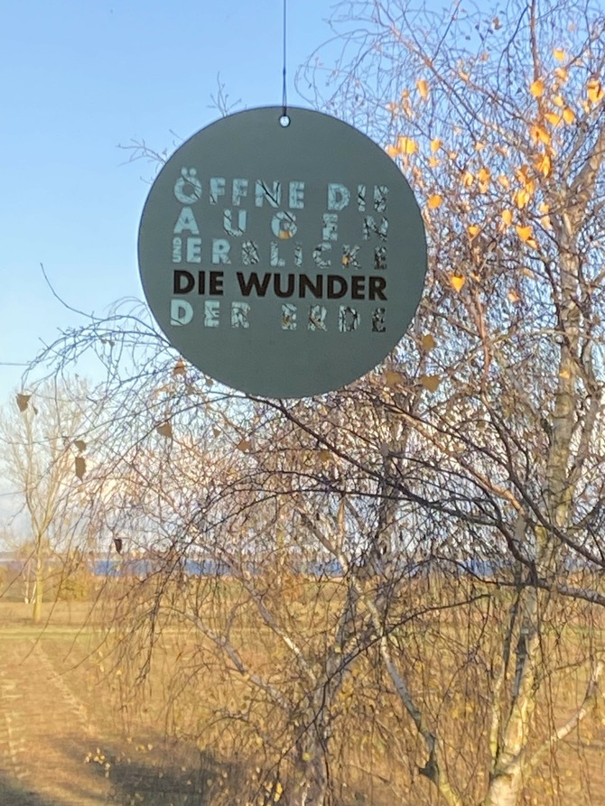 Ferienhaus in Pruchten - Ferienhus Darsskieker - ohne Worte