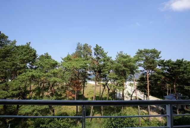 Ferienwohnung in Ahlbeck - (Brise) Strandresidenz Else Marie App. 3.2 - Bild 15