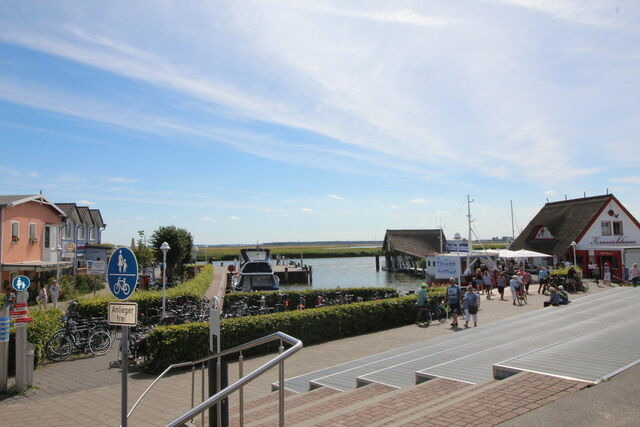 Ferienwohnung in Zingst - Ferienwohnung Böttcher - Bild 15