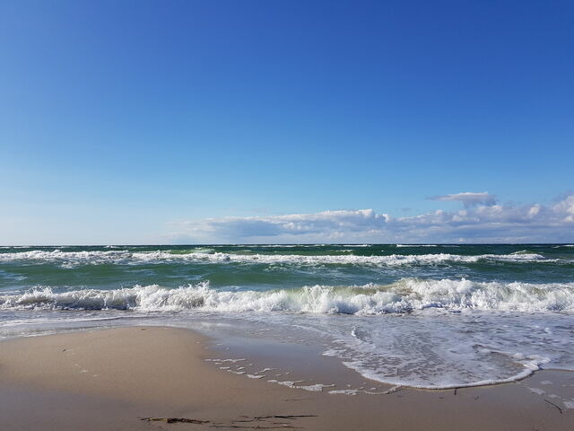 Ferienwohnung in Zingst - Ferienwohnung Böttcher - Bild 24