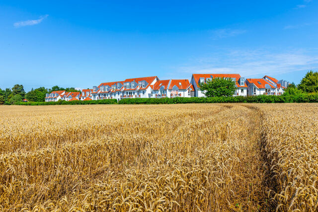Ferienwohnung in Boltenhagen - S&uuml;nnslag Wohnung 043 - Bild 20