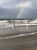 Ferienhaus in R&ouml;vershagen - Piratenburg R&ouml;vershagen - Bild 25