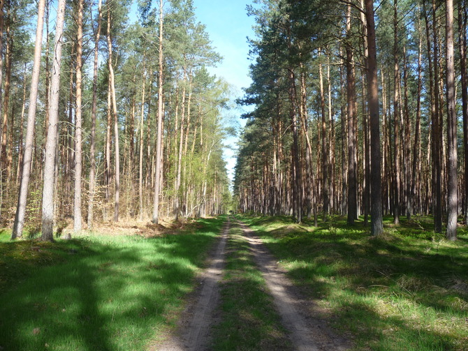 Ferienhaus in R&ouml;vershagen - Piratenburg R&ouml;vershagen - Bild 22